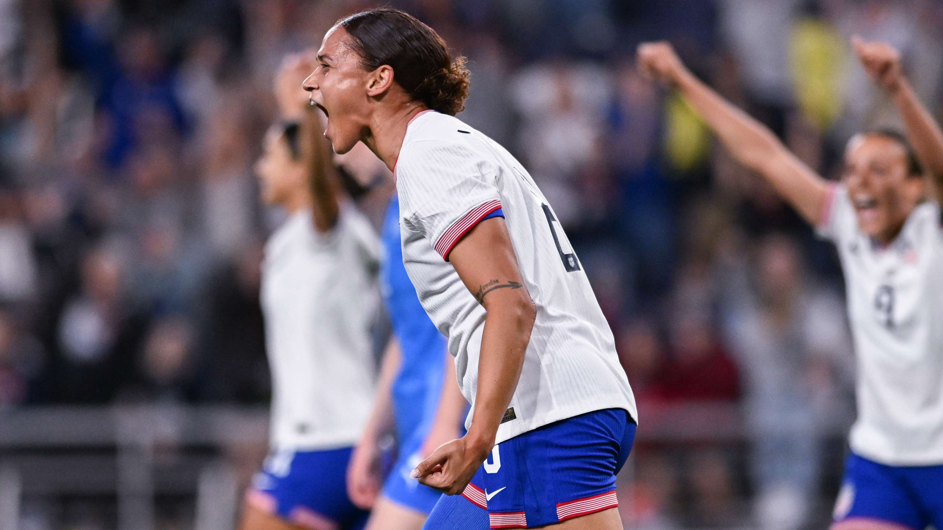 在这个全新 在这个全新